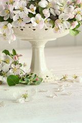 Купить