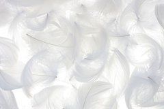 ИЗОБРАЖЕНИЕ Стеклодекор 147866558 | КУПИТЬ В ИНТЕРНЕТ-МАГАЗИНЕ ARCPALACE