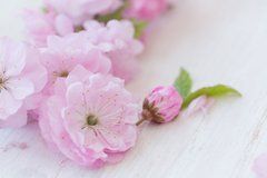 Купить