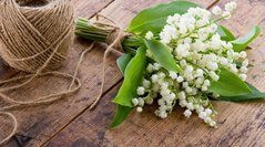 Купить