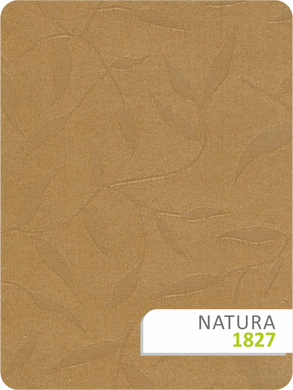 ИЗОБРАЖЕНИЕ Рулонная штора Натура 1827-Natura2 | КУПИТЬ В ИНТЕРНЕТ-МАГАЗИНЕ ARCPALACE