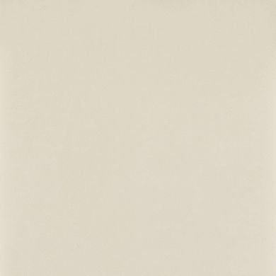 ИЗОБРАЖЕНИЕ Intero Bianco Gres 59,8x59,8 | КУПИТЬ В ИНТЕРНЕТ-МАГАЗИНЕ ARCPALACE