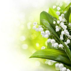 ИЗОБРАЖЕНИЕ Стеклодекор 01 | КУПИТЬ В ИНТЕРНЕТ-МАГАЗИНЕ ARCPALACE